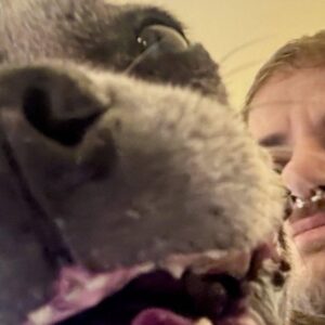 Support Jersey and his dog Oshi's veterinary care!