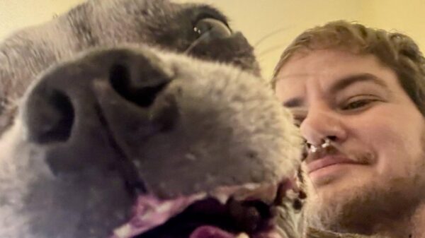 Support Jersey and his dog Oshi's veterinary care!