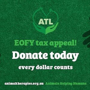 2025 ATL EOFY Tax Appeal: Message from Chair Brian Zanker - – Sadik-O