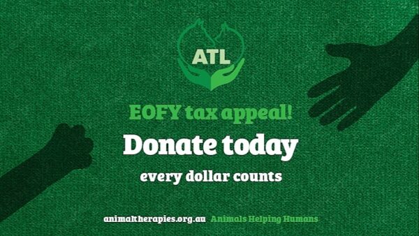 2025 ATL EOFY Tax Appeal: Message from Chair Brian Zanker - – Sadik-O