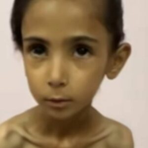 https://sadik-o.com - refugees and asylum seeekers - PLEASE SAVE AMAL