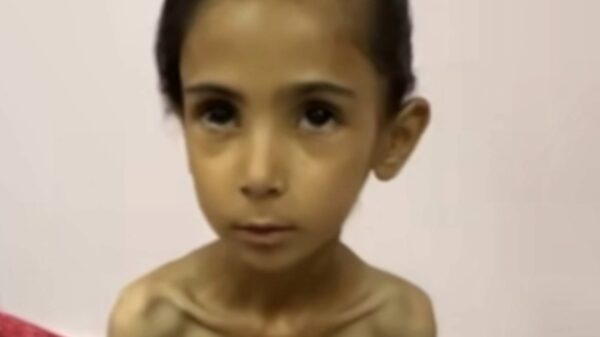 https://sadik-o.com - refugees and asylum seeekers - PLEASE SAVE AMAL