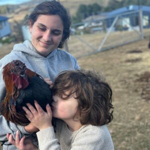 Roosters are being dumped and left to die.