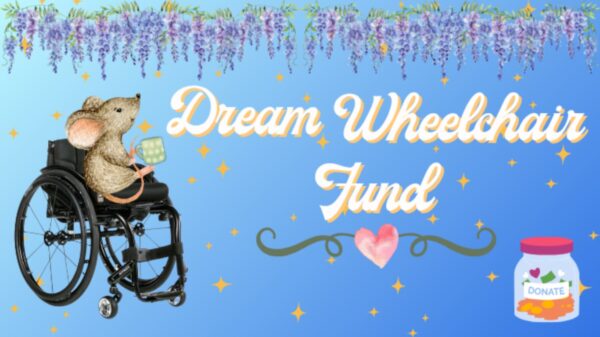 Dream Wheelchair Fund - – Sadik-O