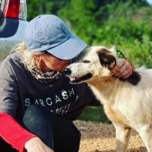 Thai Street Paws Rescue Vet Bills