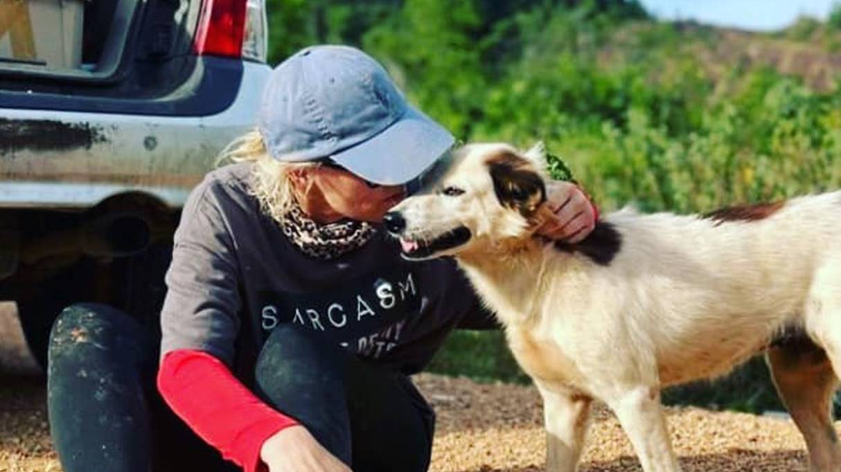 Thai Street Paws Rescue Vet Bills