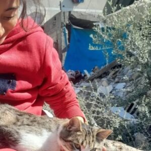 https://sadik-o.com - refugees and asylum seeekers - Help Evacuate Aya and Her Family