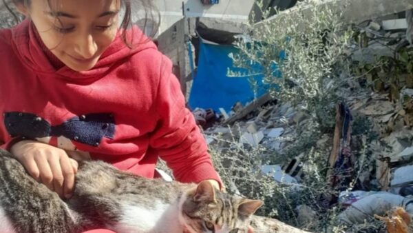 https://sadik-o.com - refugees and asylum seeekers - Help Evacuate Aya and Her Family