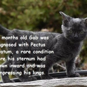 Life Saving Surgery for Gabriel!