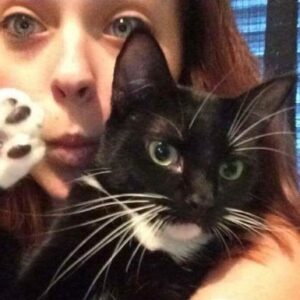 Kaelee’s Kitty Korner in New Smyrna Beach @ SEV Humane Society