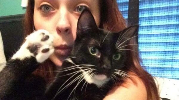 Kaelee’s Kitty Korner in New Smyrna Beach @ SEV Humane Society