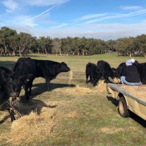 Maisey’s Rescue Farm