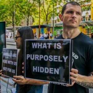Animal Activist Collective - Vegan Outreach