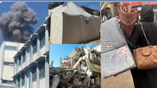 https://sadik-o.com - refugees and asylum seeekers - Noor's Family Survival Fund