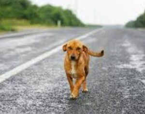 A Second Chance for Hope