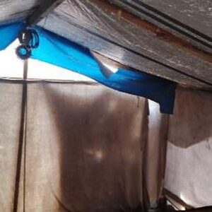https://sadik-o.com - refugees and asylum seeekers - Help Shams and Her Family in Gaza