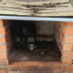 SANCTUARY RAINPROOFING