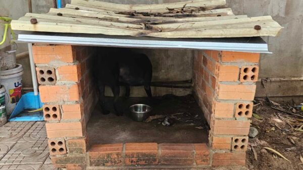 SANCTUARY RAINPROOFING