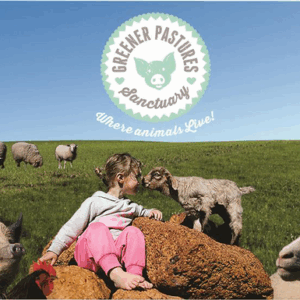 Help Needed for Greener Pastures Sanctuary!