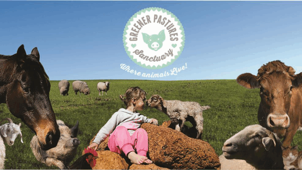 Help Needed for Greener Pastures Sanctuary!