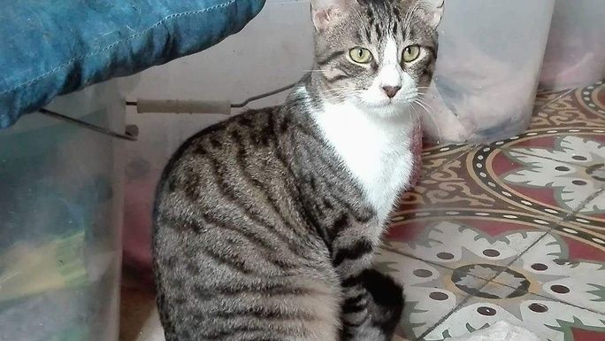 Bella's beauty masks her terrible start in life