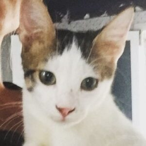Terry's safe now - but that wasn't always the case