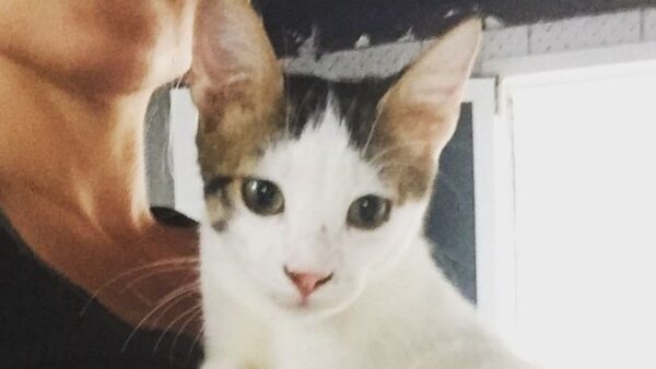 Terry's safe now - but that wasn't always the case