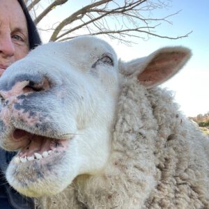 Help one of the biggest animal sanctuaries survive winter