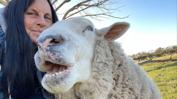 Help one of the biggest animal sanctuaries survive winter