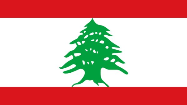 https://sadik-o.com - refugees and asylum seeekers - Donate to help Wajdi's family