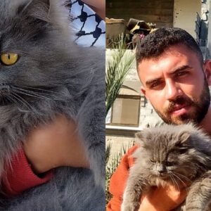 https://sadik-o.com - refugees and asylum seeekers - Help save Yousef