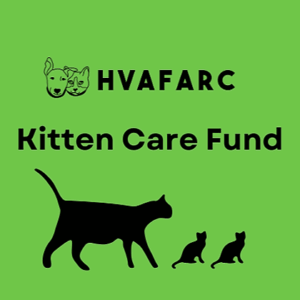 Help HVAFARC Care for Kittens: House of 50+ and Orphans
