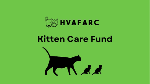 Help HVAFARC Care for Kittens: House of 50+ and Orphans