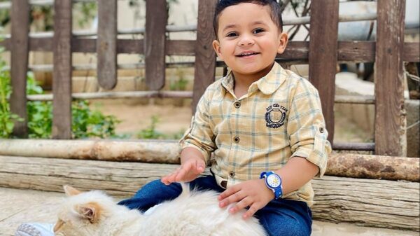 https://sadik-o.com - refugees and asylum seeekers - Save Mohamed Wael Al Banna and his family in gaza