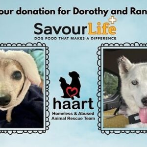 Donate for Dorothy and Ranger