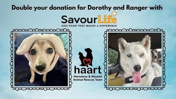Donate for Dorothy and Ranger