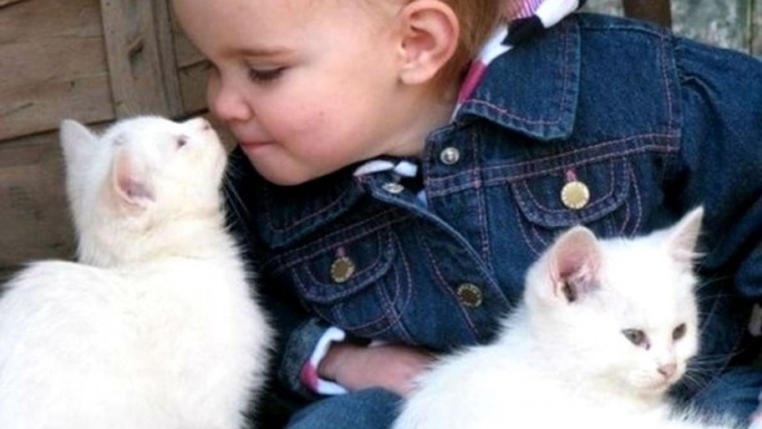 Big Love for Small Cats