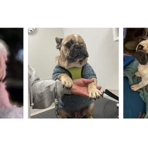 New Beginnings Urgent Appeal