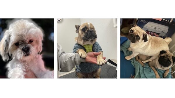New Beginnings Urgent Appeal