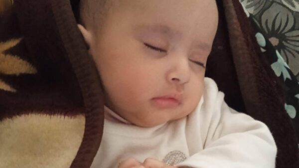 https://sadik-o.com - refugees and asylum seeekers - Help Noha and Her Family Survive In Gaza