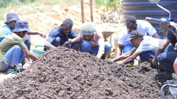 https://sadik-o.com - refugees and asylum seeekers - Help Paulinho Attend Permaculture Training & Empower Thousands More in Nakivale Refugee Camp.