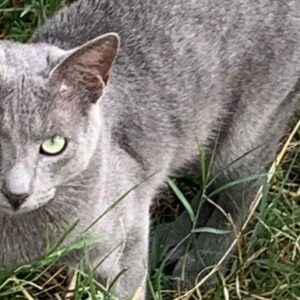 Jay is on his way to a new life in the UK