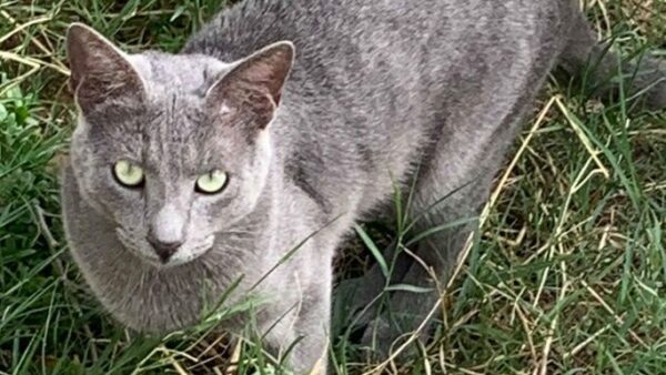 Jay is on his way to a new life in the UK