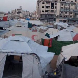 https://sadik-o.com - refugees and asylum seeekers - Support The Families Of Arafat City Camp In Gaza