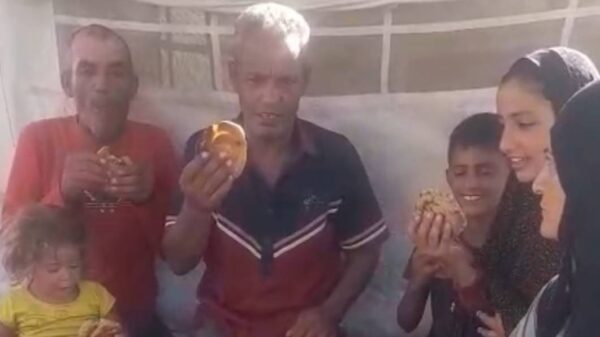 https://sadik-o.com - refugees and asylum seeekers - Help the Al-Zain family with food and medicines while in Palestine