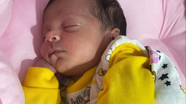 https://sadik-o.com - refugees and asylum seeekers - Help Walaa's Family Trapped in Gaza — Support Us to Survive