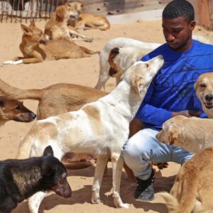 Help us raise funds for Sulala Animal Rescue
