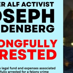 Felony Court Case Fundraiser