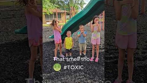 The Dream: A Clean & Safe Playground for St William School