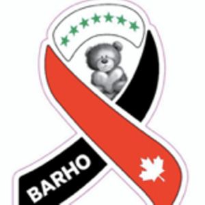 https://sadik-o.com - refugees and asylum seeekers - Barho Charity Hockey Game with Jill Saulnier & Friends